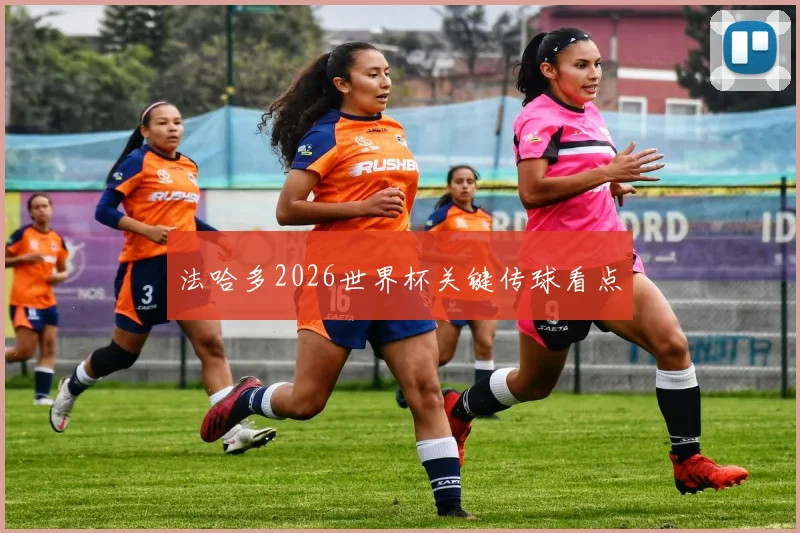 法哈多2026世界杯关键传球看点