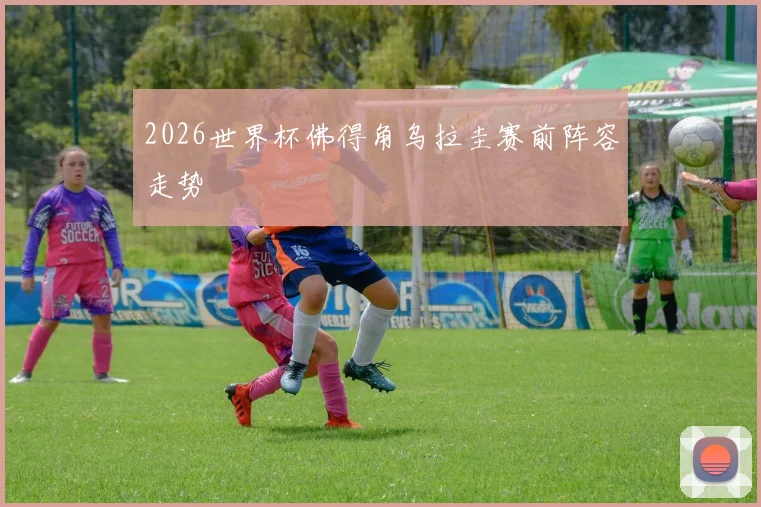 2026世界杯佛得角乌拉圭赛前阵容走势