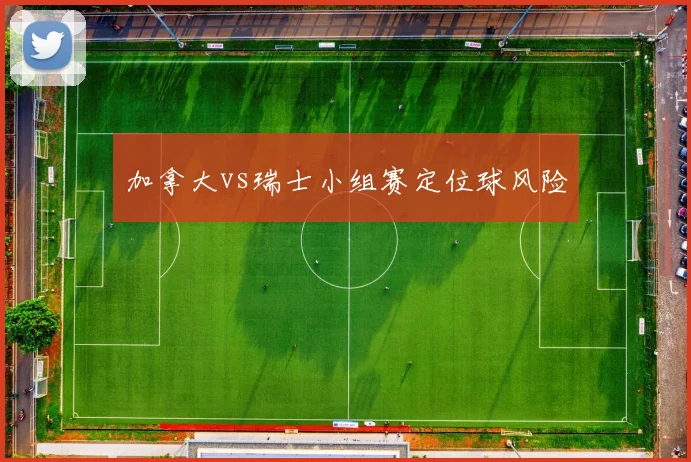 加拿大vs瑞士小组赛定位球风险